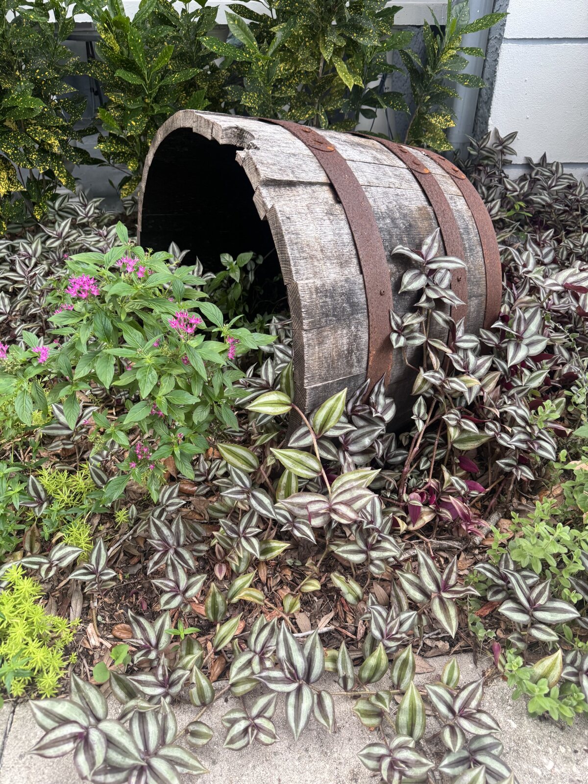 Barrel section used sideways as a garden feature